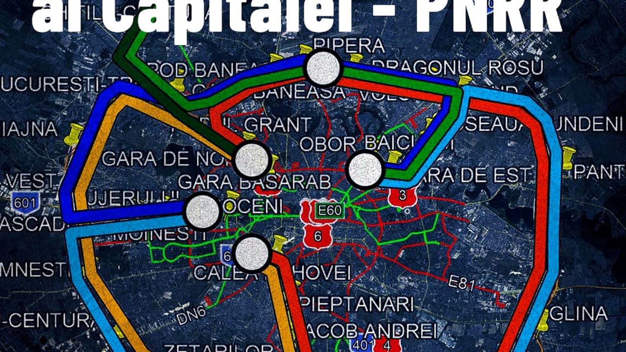Poza 1