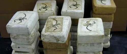 Poliția italiană a descoperit cocaină de 60 de milioane de euro într-un container cu banane
