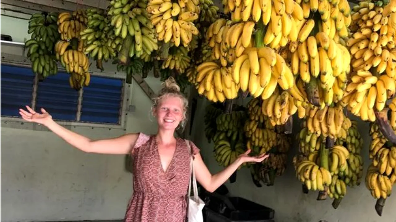 O gravidă are o alimentație bazată pe fructe și speră să-și poată hrăni bebelușul la fel: „Laptele de vacă este pentru viței