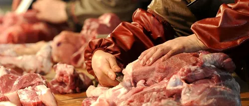 AFP: Lasagna cu carne de cal, un scandal european care se întinde de la Londra la București