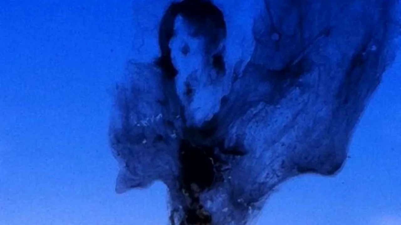 Pe cine vezi în această imagine