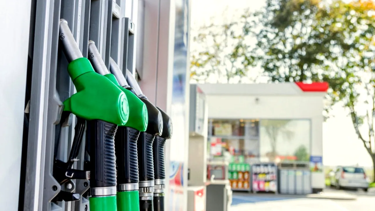 Consiliul Economic și Social blochează Ordonanța pentru situația de criză pe piața carburanților. Fudulea, președintele CES: „Nu rezolvă problema”