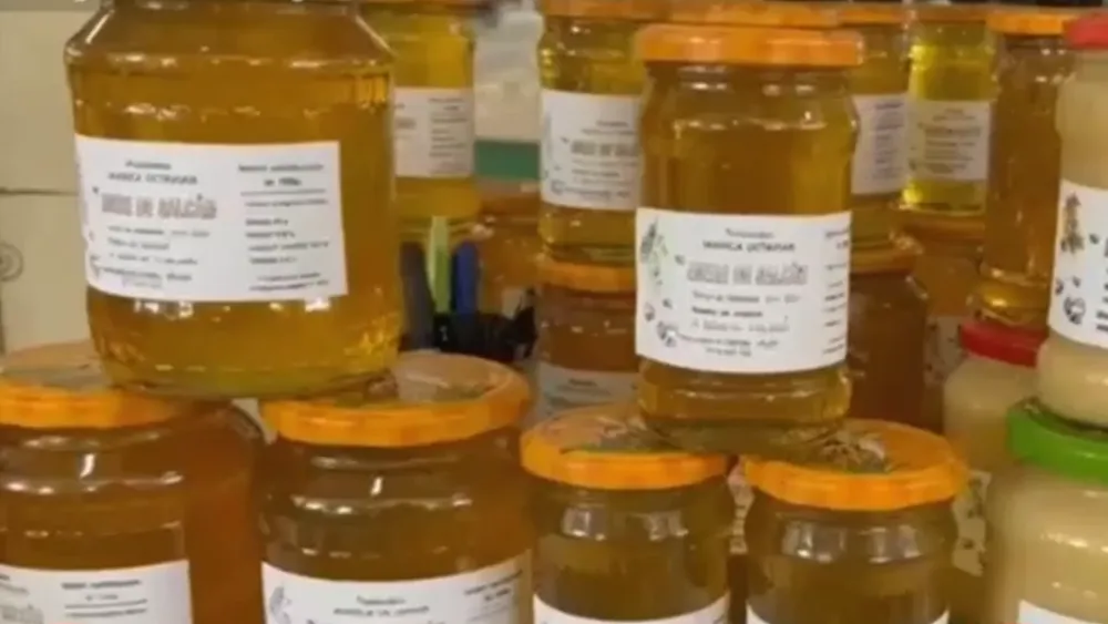Cât va ajunge să coste un borcan cu MIERE de salcâm după ce producția de anul acesta a fost compromisă