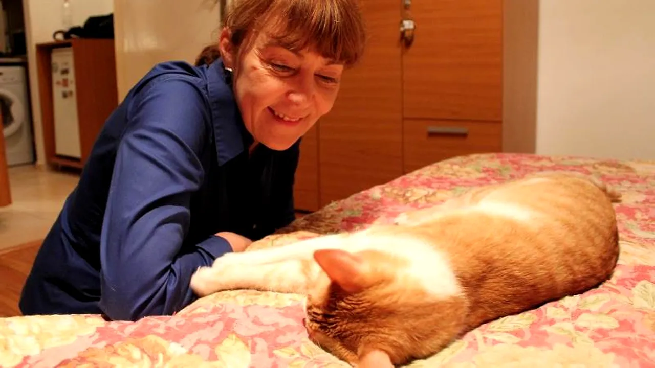 De ce a început Monica Macovei să posteze poze cu pisici pe Facebook. Liiceanu, susținător declarat al lui Macovei: „Bănuiesc că e un om derutat