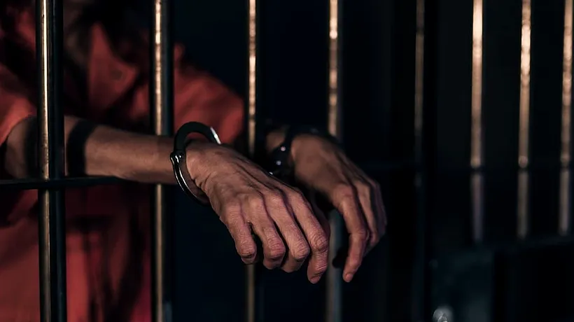 Bărbat din Galați, condamnat la închisoare cu executare după ce a omorât un câine. Ce perioadă va sta după gratii