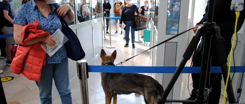 PREMIERĂ: Un pasager sosit cu avionul în România a fost depistat cu <i class='ep-highlight'>COVID</i>-19 de un câine polițist. Ce au decis autoritățile