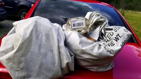 DESCOPERIRE. Membrii unei familii au luat doi saci de gunoi din mijlocul străzii pentru a nu reprezenta un pericol pentru ceilalți șoferi. Când au realizat ce era înăuntru au chemat imediat poliția