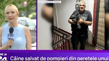 Incredibila salvare a cățelului Johnny. Stăpânul lui a sunat la 112, după ce animalul a dispărut și a bănuit că ar fi căzut printre țevi