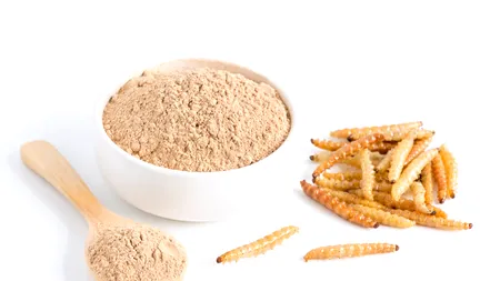 Din 10 februarie 2025, pudra din VIERMI galbeni de făină va fi un aliment autorizat de Comisia Europeană pentru consum