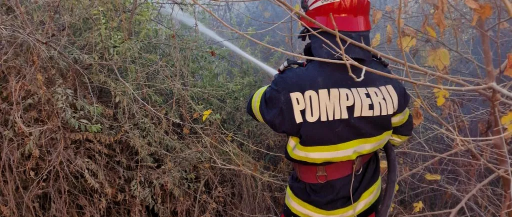 VIDEO | Incendiu de vegetație în Delta Dunarii. A luat foc pădurea din Plauru, localitate unde recent au căzut drone rusești