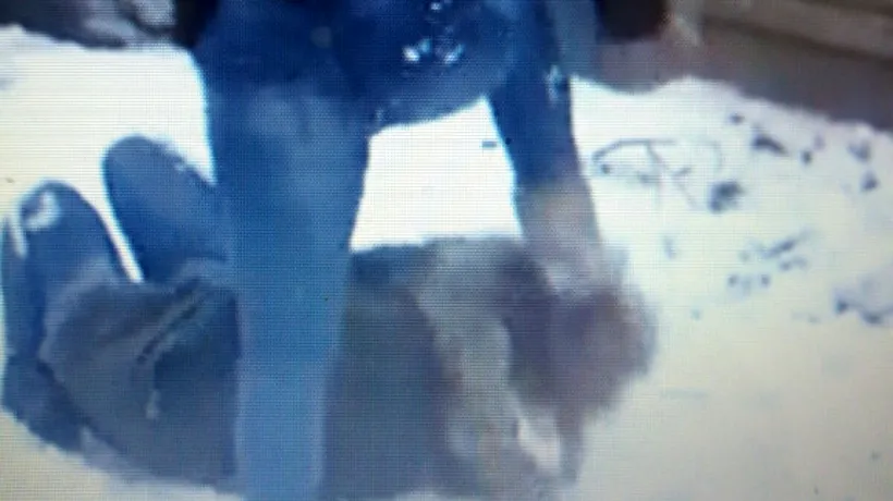 O elevă de doar 17 ani calcă pe cap o colegă. Un VIDEO umilitor. Reacția poliției din Ploiești
