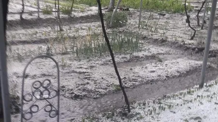 VREMEA. Cod roșu de grindină într-un județ. Anunțul meteorologilor - VIDEO