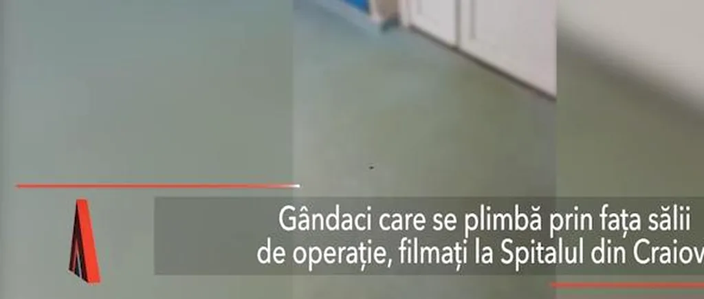 GÂNDACI care se plimbă prin fața sălii de operație, filmați la SPITALUL din Craiova