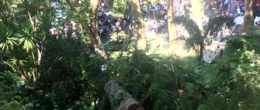 Tragedie în Portugalia. Un stejar masiv s-a prăbușit peste participanții la o slujbă religioasă: cel puțin 11 oameni au murit și 35 sunt răniți. VIDEO