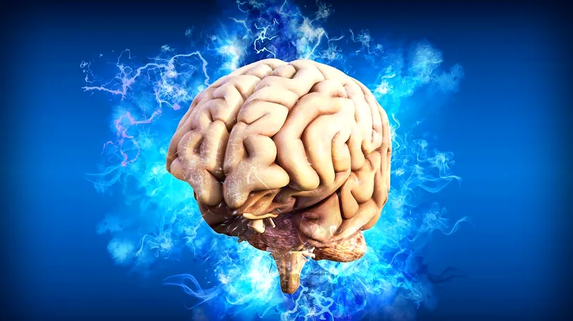 Descoperire uimitoare în dezvoltarea creierului uman. Componenta cheie care dezvoltă funcțiile cerebrale, precum învăţarea sau memoria