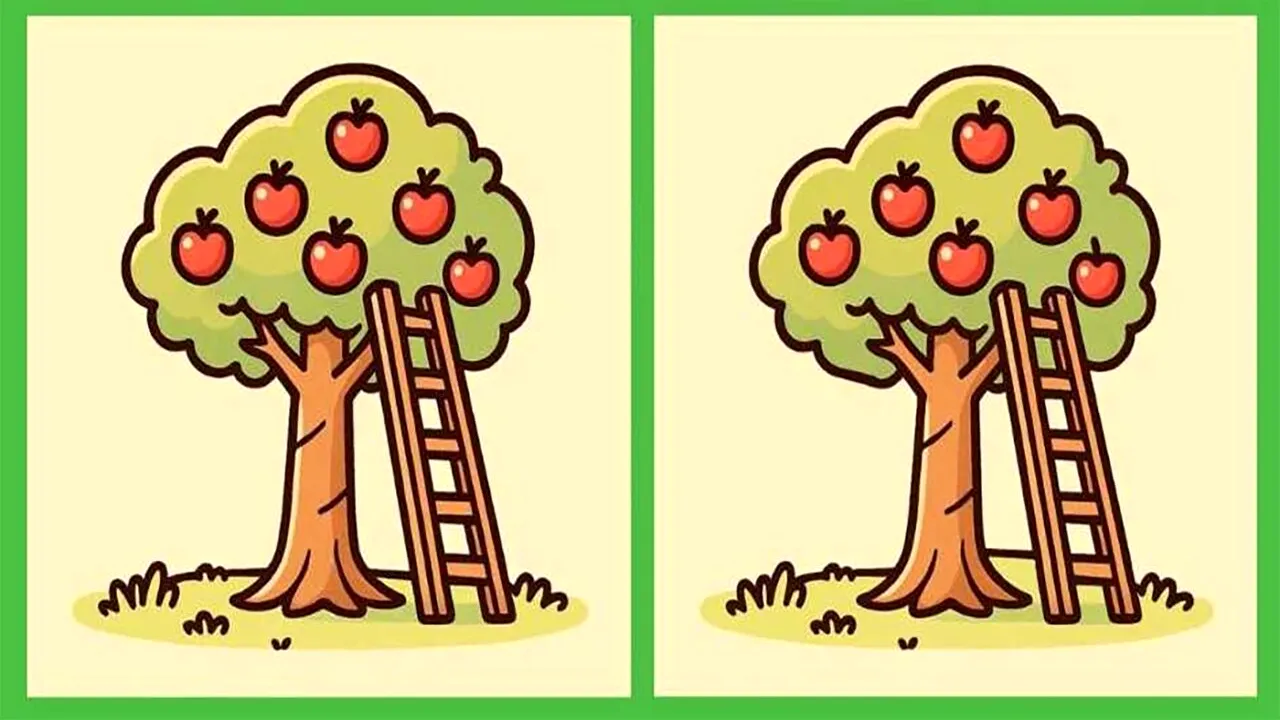 TEST IQ | Descoperiți cele 3 diferențe dintre acești doi pomi în maximum 11 secunde