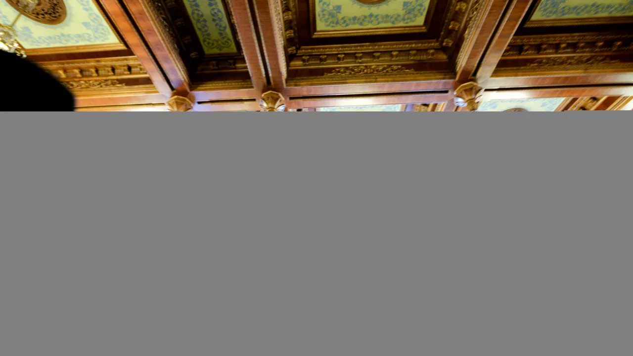 Consultări la Cotroceni. Ce i-a spus Dragnea lui Iohannis