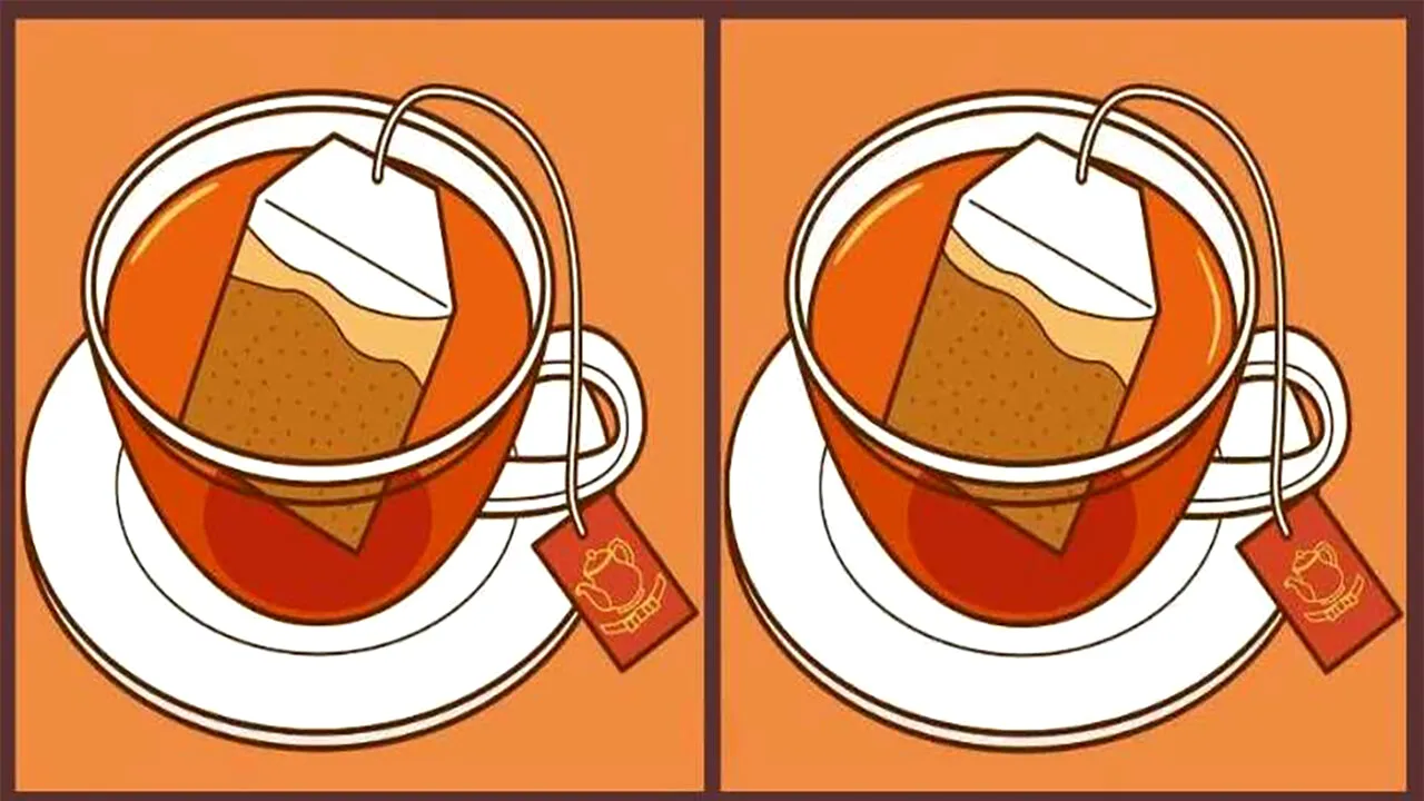 Test de perspicacitate | 3 diferențe în 11 secunde. Le puteți găsi?