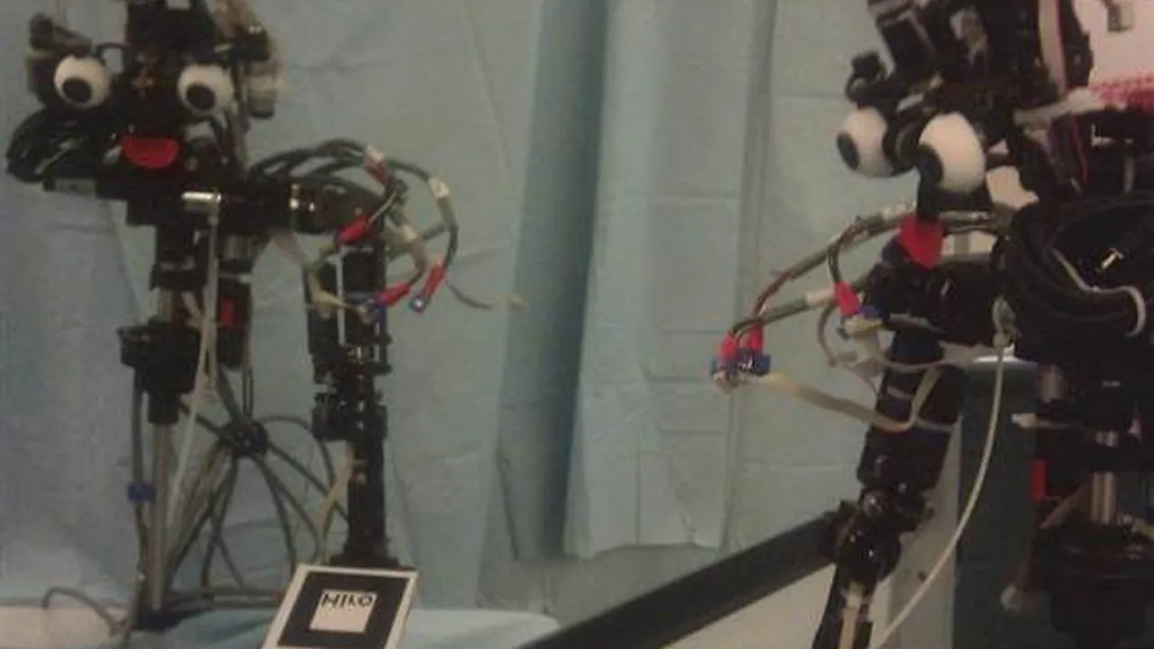 Un robot ar putea trece în curând TESTUL OGLINZII