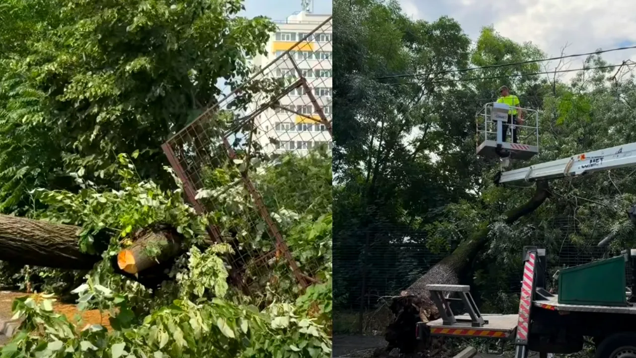 (P) Salubrizare S5. S-a acționat în teren pe parcursul nopții pentru înlăturarea efectelor fenomenelor extreme