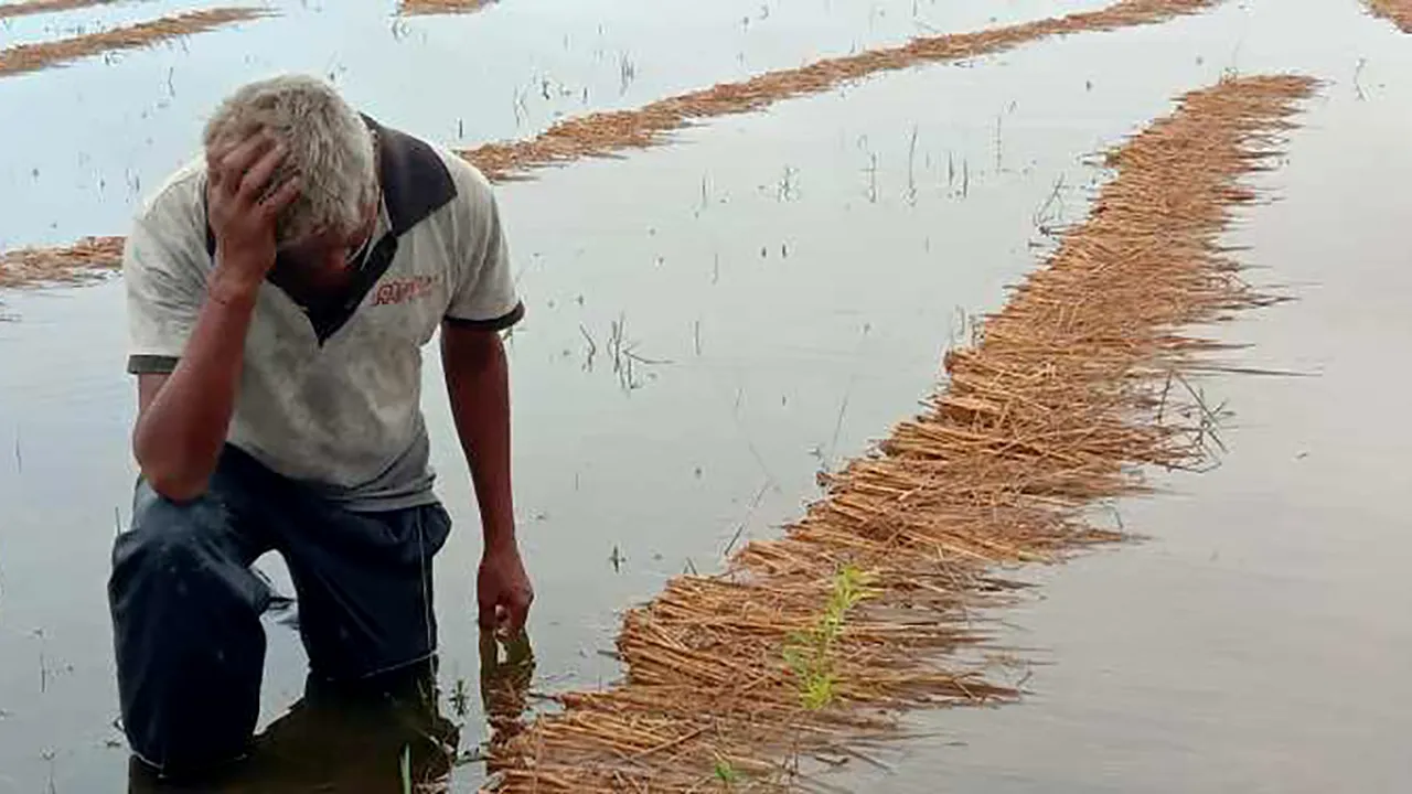 Dezastru în Nepal. Inundațiile și alunecările de teren au dus la moartea a peste 77 de oameni