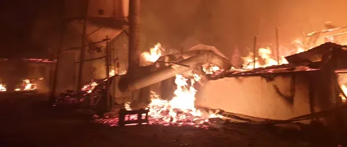 Incendiu puternic la o fabrică de mobilă din Prahova | VIDEO