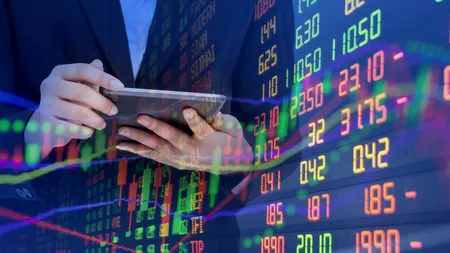 Cifra de afaceri din comerțul angro s-a redus în ianuarie și februarie. Unde au fost cele mai mari scăderi