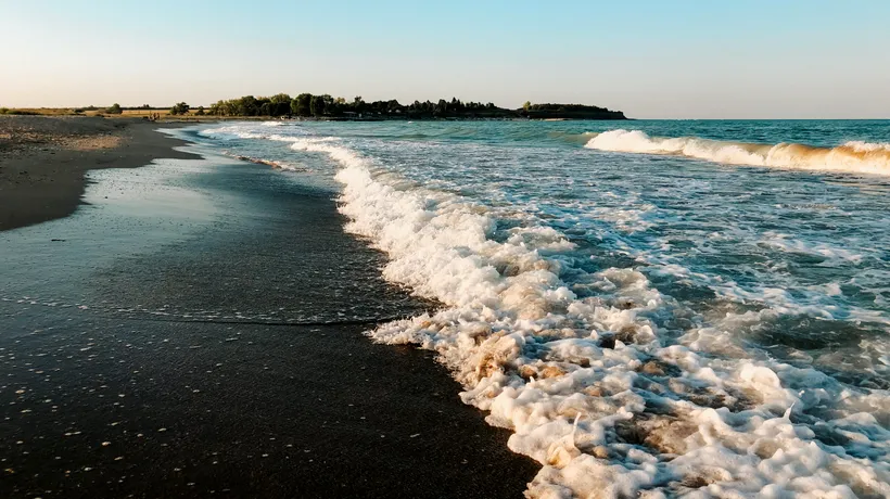 Specia din Marea Neagră care a ajuns să invadeze 6 lacuri elvețiene. Specialiștii susțin că poate deveni un pericol pentru pescuit și fauna locală