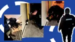 Intervenție mai puțin obișnuită a jandarmilor la Constanța. O pisică agresivă a fost imobilizată. Ordinea pe scara blocului a fost restabilită