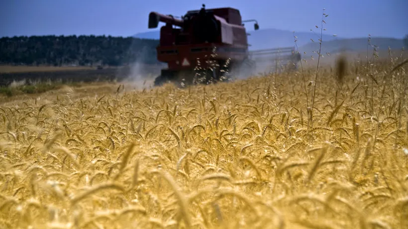 Financial Times: Ucraina va interzice exporturile de grâu, după ce prețurile materiilor prime pentru industria alimentră au crescut puternic