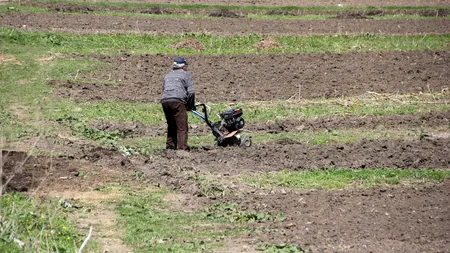 The Guardian, un nou articol controversat despre România: Localnicii din Maramureș se omoară între ei pentru o palmă de pământ
