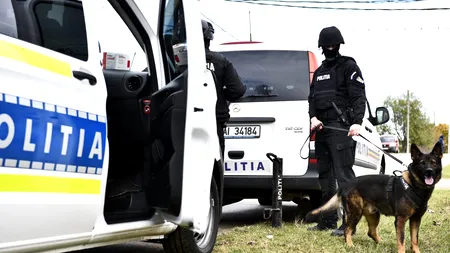 O fetiță de 3 ani, găsită decedată pe un câmp: Copilul fusese mușcat de animalele sălbatice