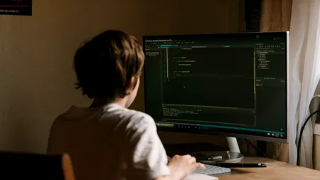 Un adolescent cu numai patru clase absolvite a spart site-ul Poliției Locale Ploiești și al Consiliului Județean Cluj. A înlocuit informațiile oficiale cu filme pentru adulți