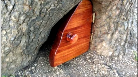 „Alice în Țara Minunilor