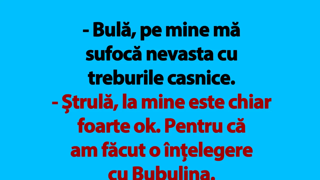 BANC | Bulă și treburile casnice