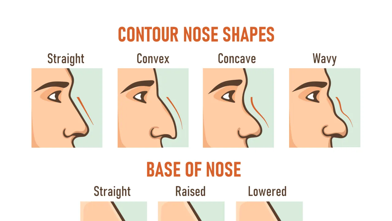 Test de personalitate | Ce spune forma nasului despre tine, de fapt