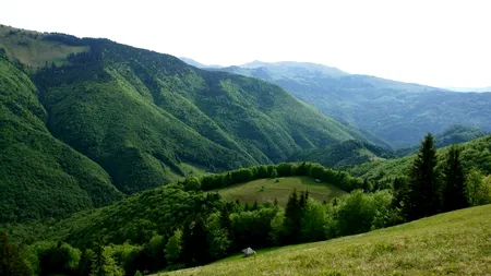 Parcul Natural Munții Maramureșului, inclus în topul mondial al zonelor „de neînlocuit