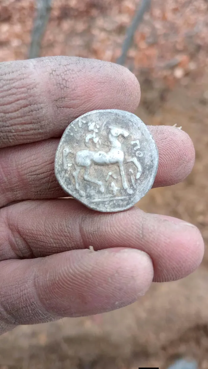 Comoara din Gorj. Un bărbat a descoperit monede grecești din epoca lui Filip al II-lea