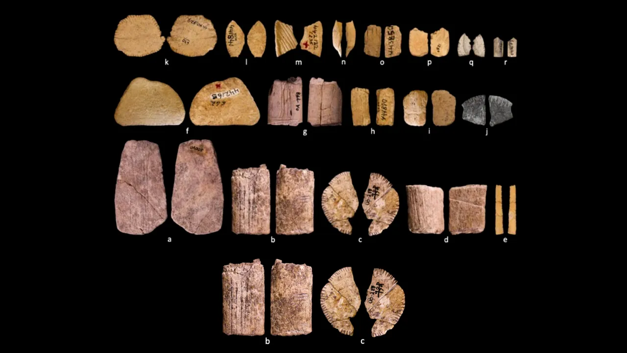 Primele zaruri din lume. Ce jucau amerindienii acum 12.000 de ani, table, yams sau barbut?