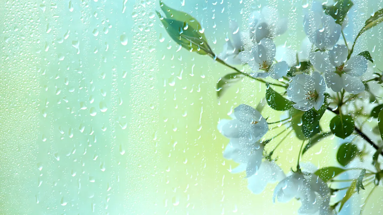 Vremea rea se întoarce! Meteorologii anunță cod galben de ploi și vânt PUTERNIC - harta zonelor afectate