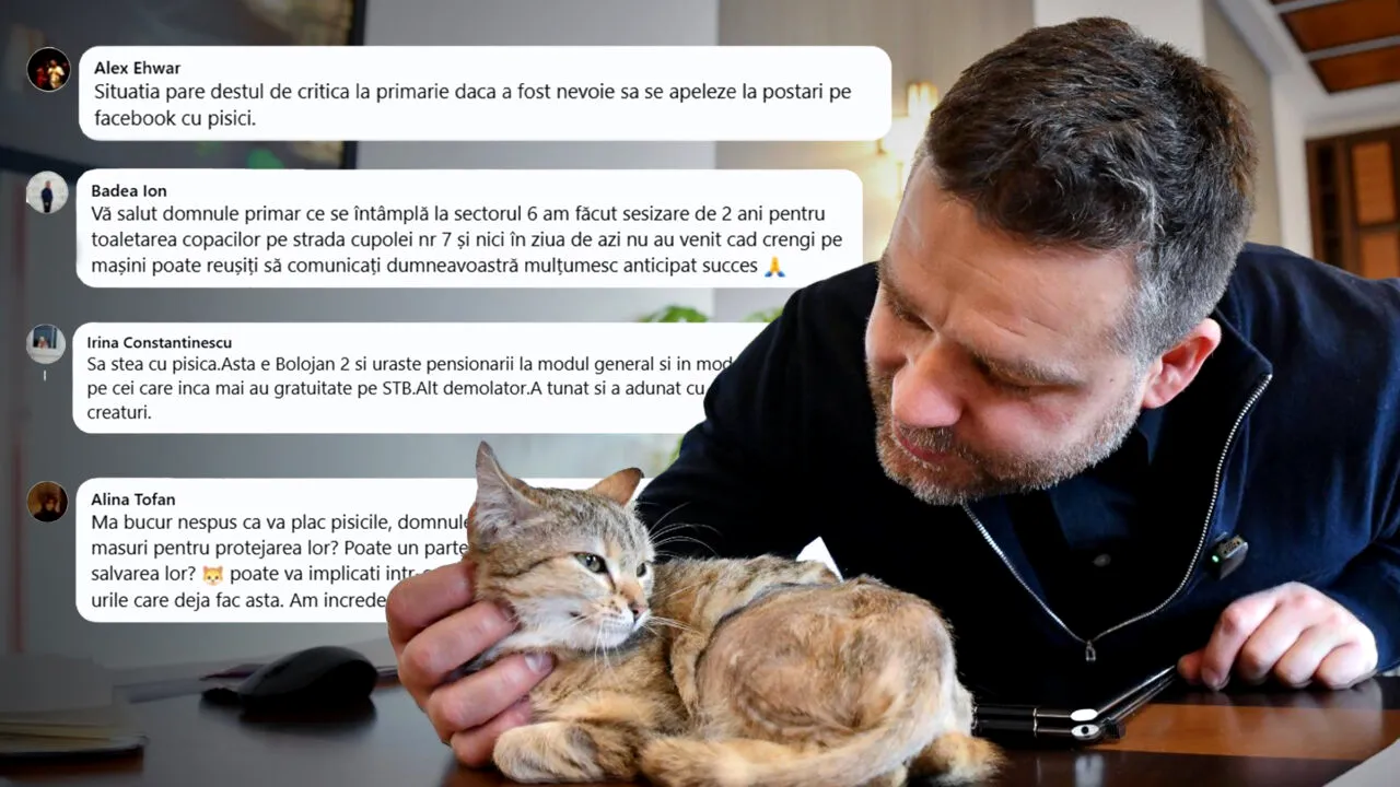 Ciucu nu renunță la obiceiurile de sector, odată ajuns primar general. Postează în continuare pisici pe rețelele de socializare