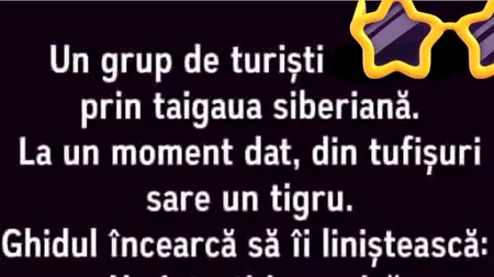 BANCUL ZILEI | Un grup de turiști se plimbă prin taigaua siberiană