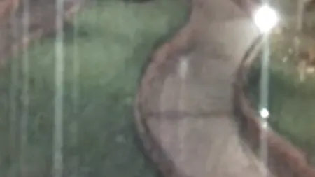 Camerele de supraveghere de la Disneyland au surprins scene inexplicabile