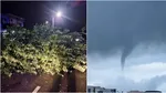 Copaci smulși din rădăcini și străzi blocate după vijelia de joi seară. La Constanța, o trombă marină a fost surprinsă în larg