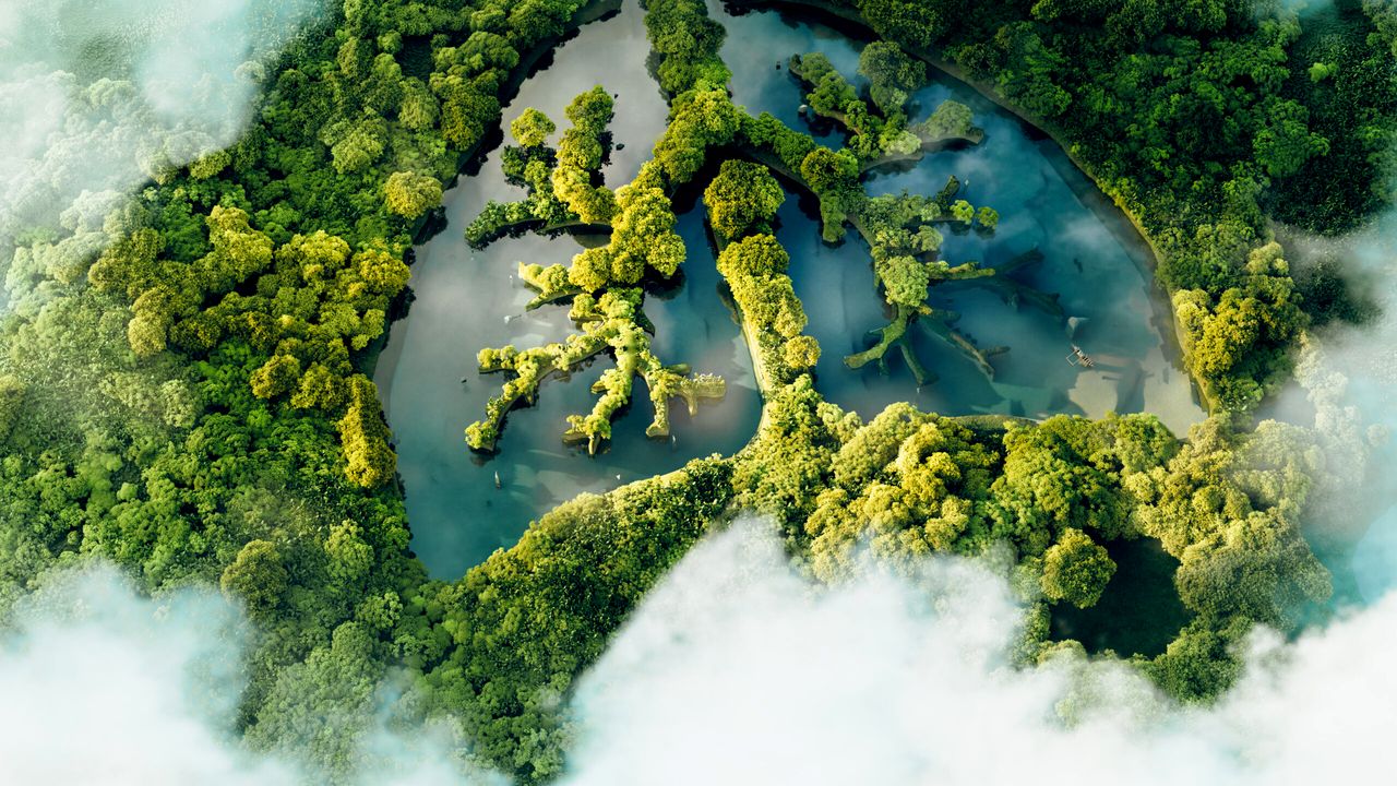 De ce e importantă adopția crypto pentru criza climatică?