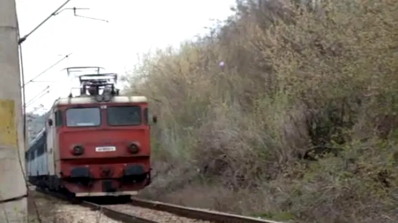 Suceava: Trafic feroviar blocat după ce trei copaci au căzut pe calea ferată, din cauza furtunii