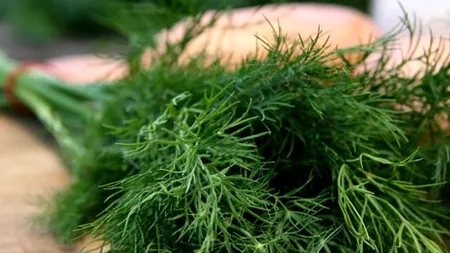 De ce e bine să mâncăm cât mai mult mărar iarna