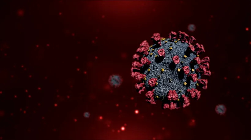 Cercetătorii fac noi descoperiri despre COVID-19: Cum păcălește virusul celula umană / Ar putea ajuta la realizarea unor tratamente specifice