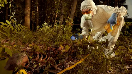 Un SCHELET uman a fost descoperit la periferia orașului Constanța. Autoritățile fac cercetări în acest caz