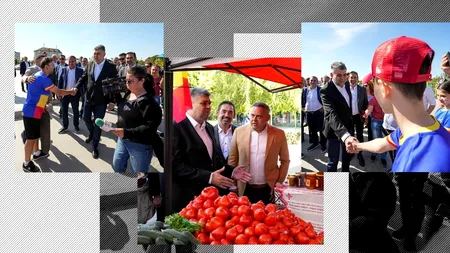 Marcel CIOLACU: ”În Guvernul României nu se face campanie electorală. La nivel de coaliţie s-a menţinut această LINIE ROȘIE”